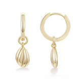 Load image into Gallery viewer, OAHLAN Fine Jewelry 14K Gold Plated Shell Shaped Design S925 Sterling Silver Earrings for Women Wedding Anniversary Engagement