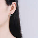 Load image into Gallery viewer, Cubic Zirconia Round Cut Four Claws Stud Earrings 925 Sterling Silver Earrings For Women