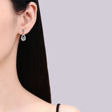 Load image into Gallery viewer, Fine Jewelry 1CT Round Cut D Grade VVS1 Moissanite Diamond Stud Earrings 925 Sterling Silver Earrings For Women
